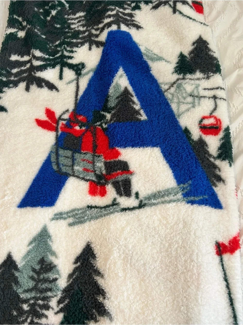 NEW American Eagle Outfitters Fleece 50x60” Cozy Blanket Ski Winter Holiday NWT